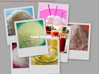 Food Grade Gelatin